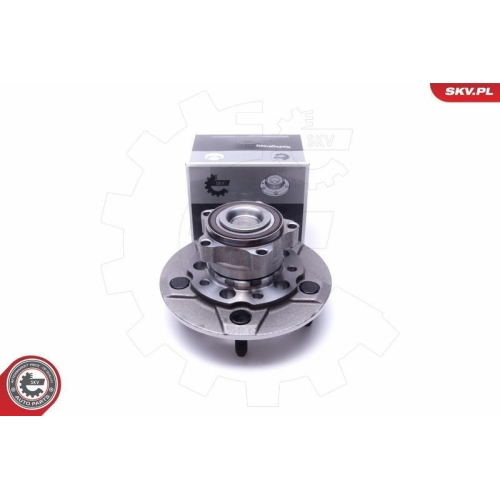 ESEN SKV Radlagersatz