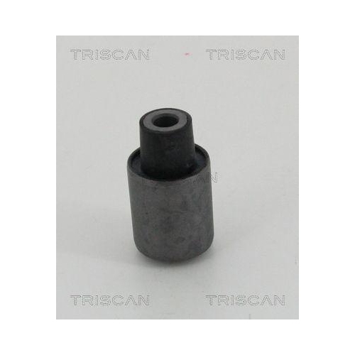 TRISCAN Lagerung, Lenker