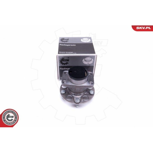 ESEN SKV Radlagersatz