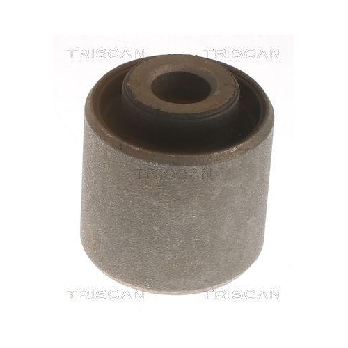 TRISCAN Lagerung, Lenker