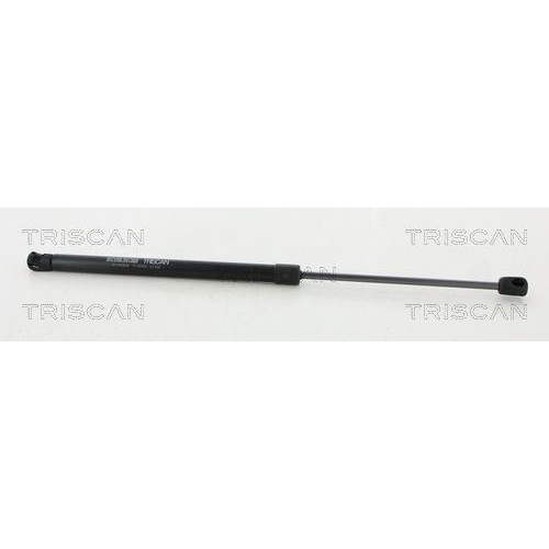 TRISCAN Gasfeder, Koffer-/Laderaum