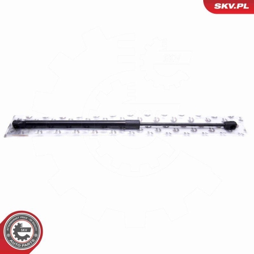 ESEN SKV Gasfeder, Koffer-/Laderaum