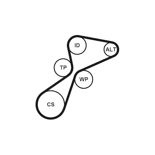 CONTINENTAL CTAM Keilrippenriemensatz