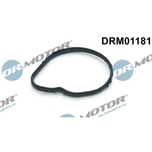 Dr.Motor Automotive Dichtung, Thermostat