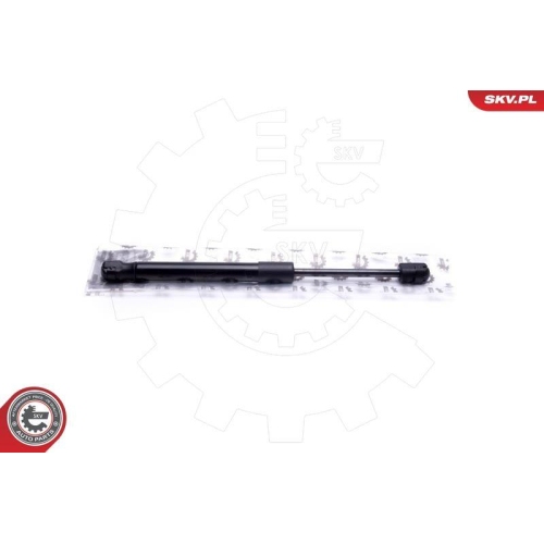 ESEN SKV Gasfeder, Koffer-/Laderaum