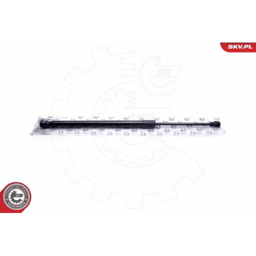 ESEN SKV Gasfeder, Koffer-/Laderaum