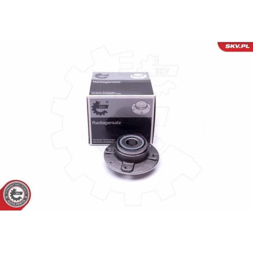 ESEN SKV Radlagersatz