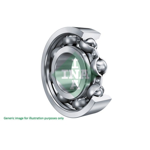 Schaeffler INA Lager, Differential