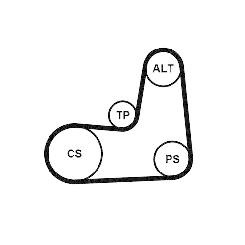 CONTINENTAL CTAM Keilrippenriemensatz