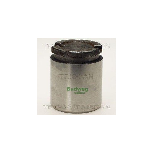 TRISCAN Kolben, Bremssattel