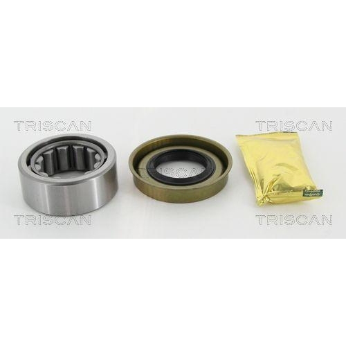 TRISCAN Radlagersatz