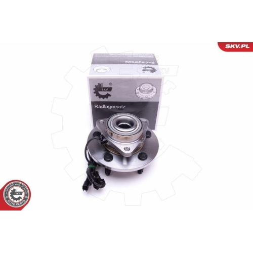 ESEN SKV Radlagersatz