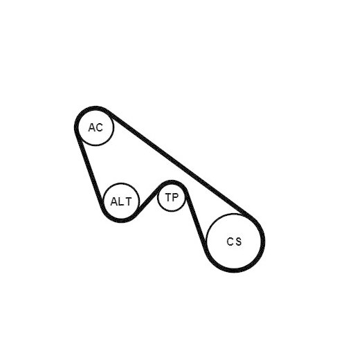 CONTINENTAL CTAM Keilrippenriemensatz
