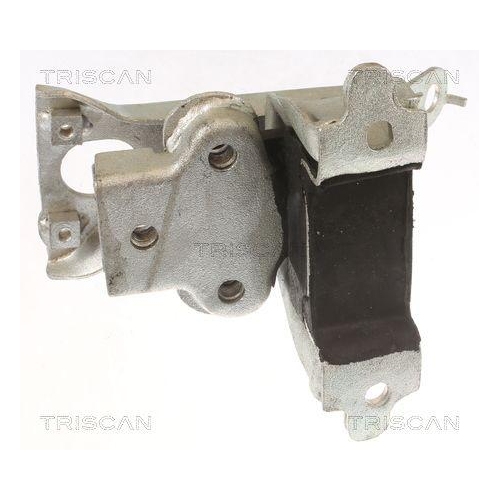 TRISCAN Lagerung, Motor