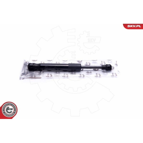 ESEN SKV Gasfeder, Koffer-/Laderaum