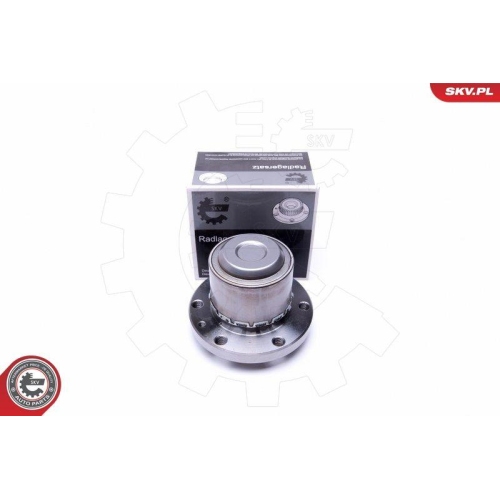 ESEN SKV Radlagersatz