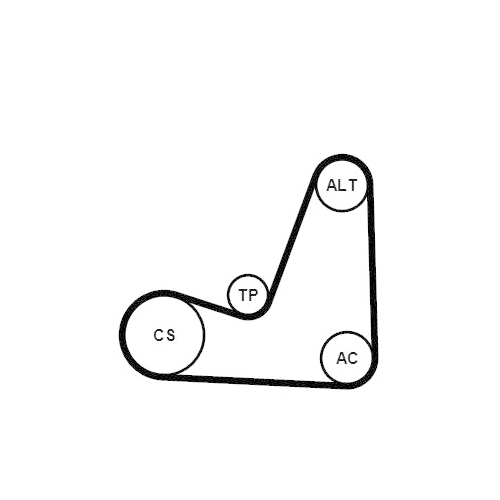 CONTINENTAL CTAM Keilrippenriemensatz