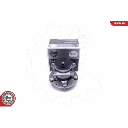 ESEN SKV Radlagersatz