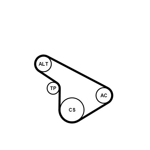 CONTINENTAL CTAM Keilrippenriemensatz