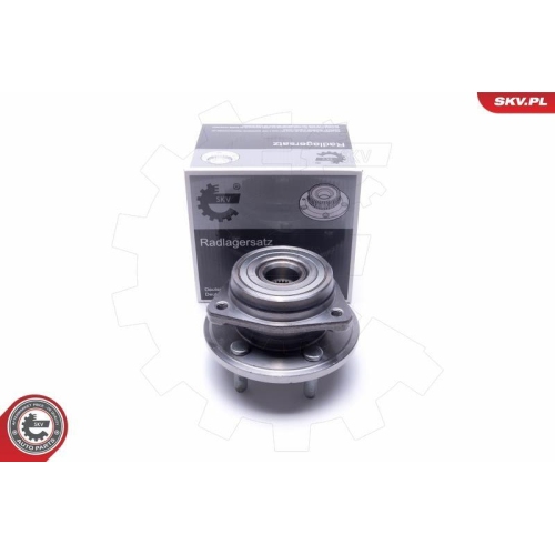 ESEN SKV Radlagersatz