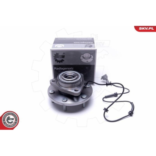 ESEN SKV Radlagersatz