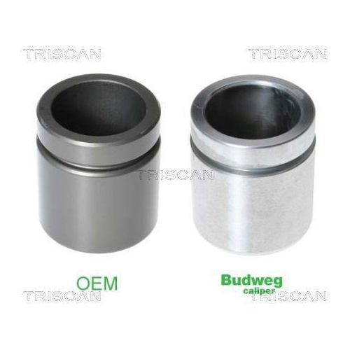 TRISCAN Kolben, Bremssattel