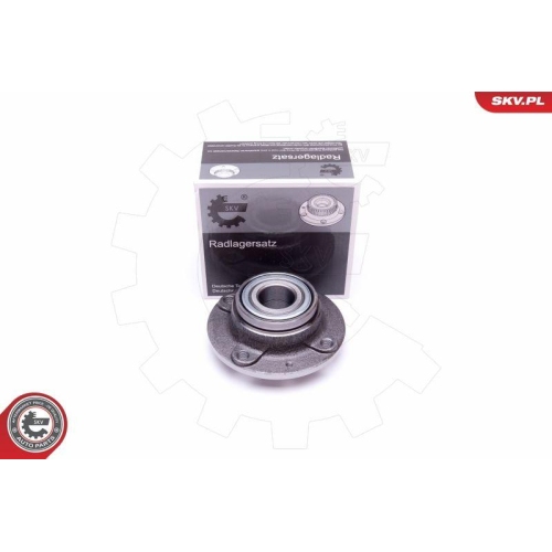 ESEN SKV Radlagersatz