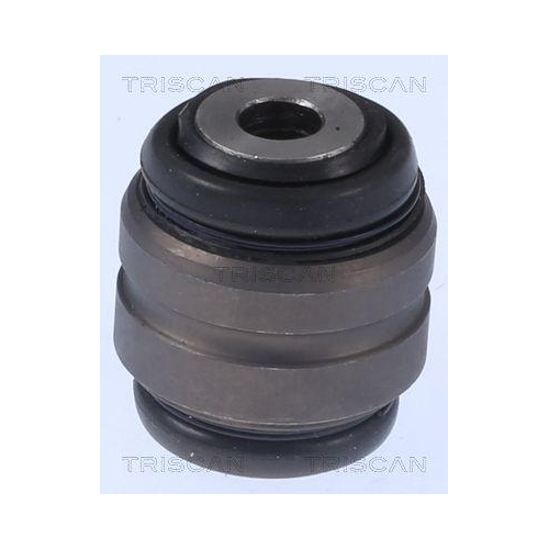 TRISCAN Trag-/F&uuml;hrungsgelenk