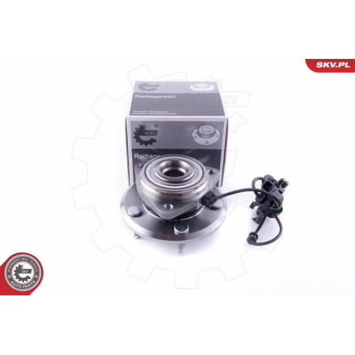 ESEN SKV Radlagersatz