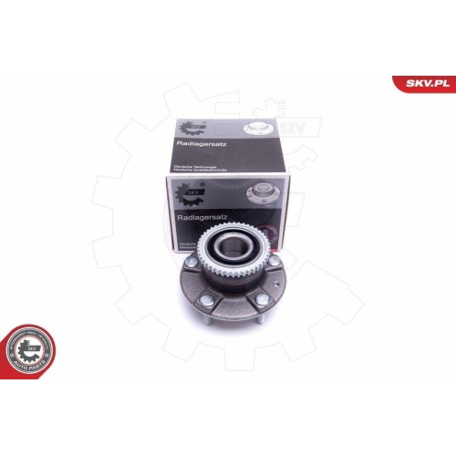 ESEN SKV Radlagersatz