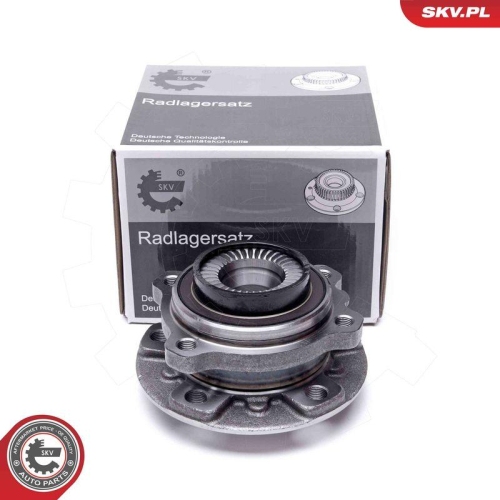 ESEN SKV Radlagersatz