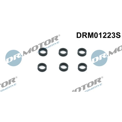 Dr.Motor Automotive Dichtring, Einspritzventil