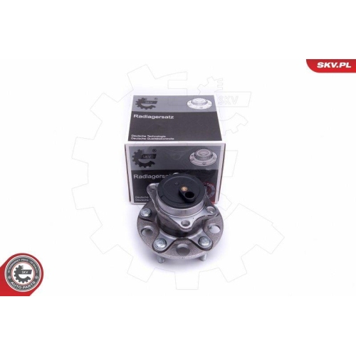 ESEN SKV Radlagersatz