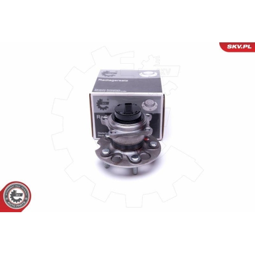 ESEN SKV Radlagersatz