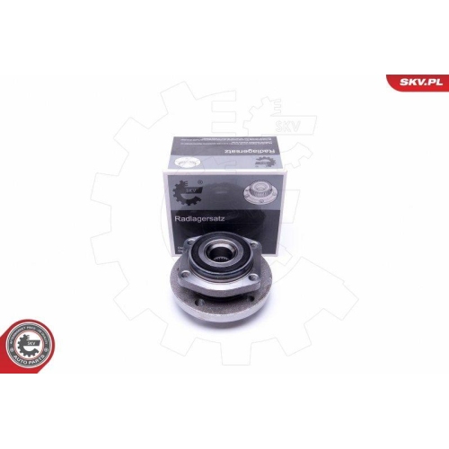 ESEN SKV Radlagersatz