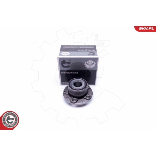 ESEN SKV Radlagersatz