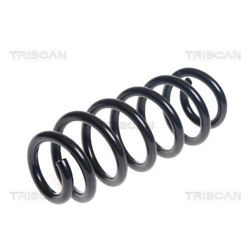 TRISCAN Fahrwerksfeder