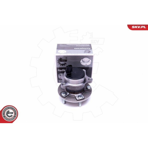 ESEN SKV Radlagersatz