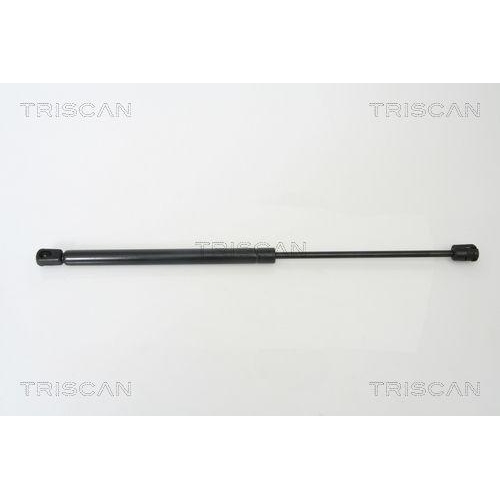 TRISCAN Gasfeder, Koffer-/Laderaum