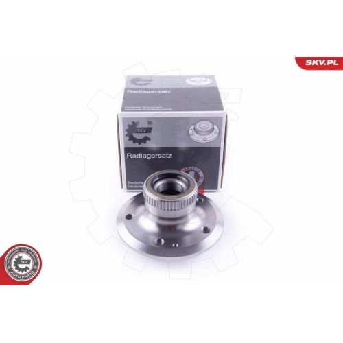 ESEN SKV Radlagersatz