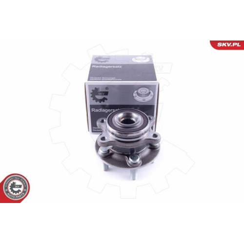 ESEN SKV Radlagersatz