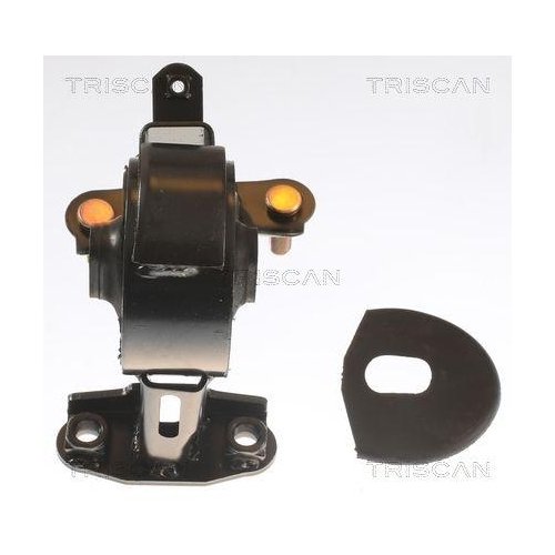 TRISCAN Lagerung, Motor