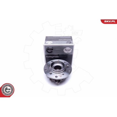 ESEN SKV Radlagersatz