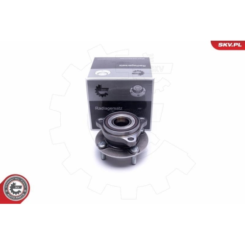 ESEN SKV Radlagersatz