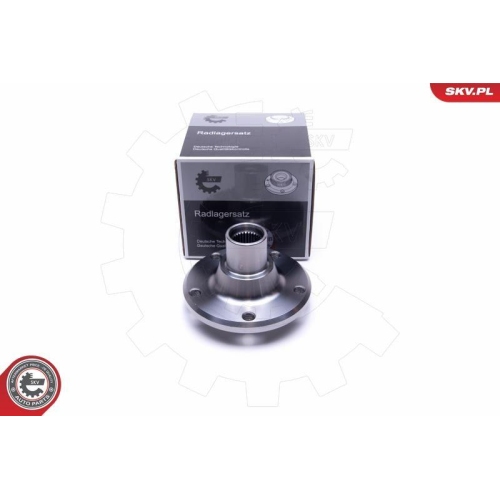 ESEN SKV Radlagersatz