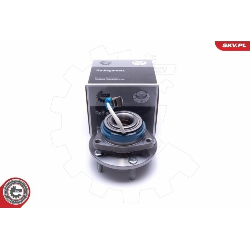 ESEN SKV Radlagersatz