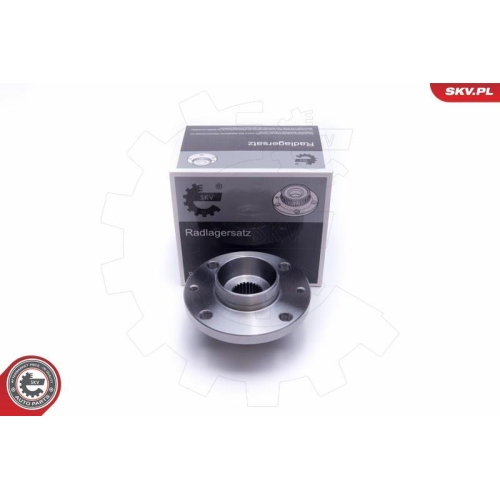 ESEN SKV Radlagersatz