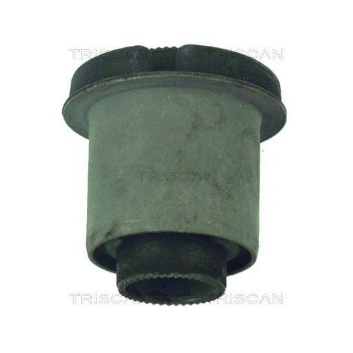 TRISCAN Lagerung, Lenker