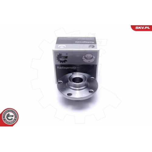 ESEN SKV Radlagersatz
