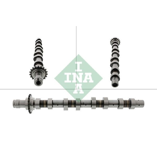 Schaeffler INA Nockenwelle